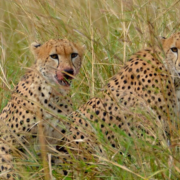 Kidepo valley